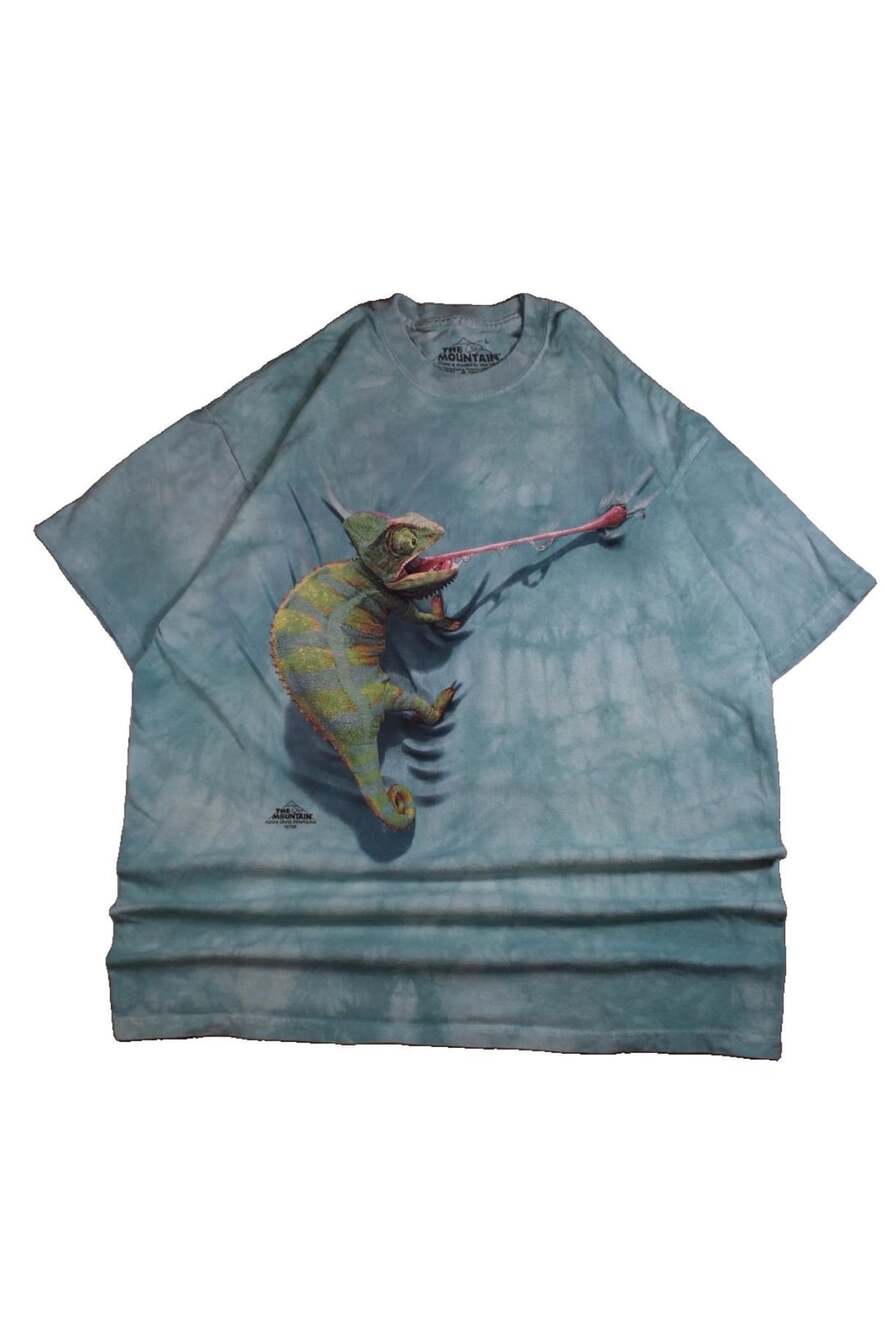 The Mountain Climbing Chameleon 2014 David Penfound Tie Dye T-Shirt Size L